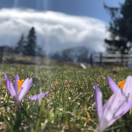 Geovita Zakopane Dış mekan fotoğraf