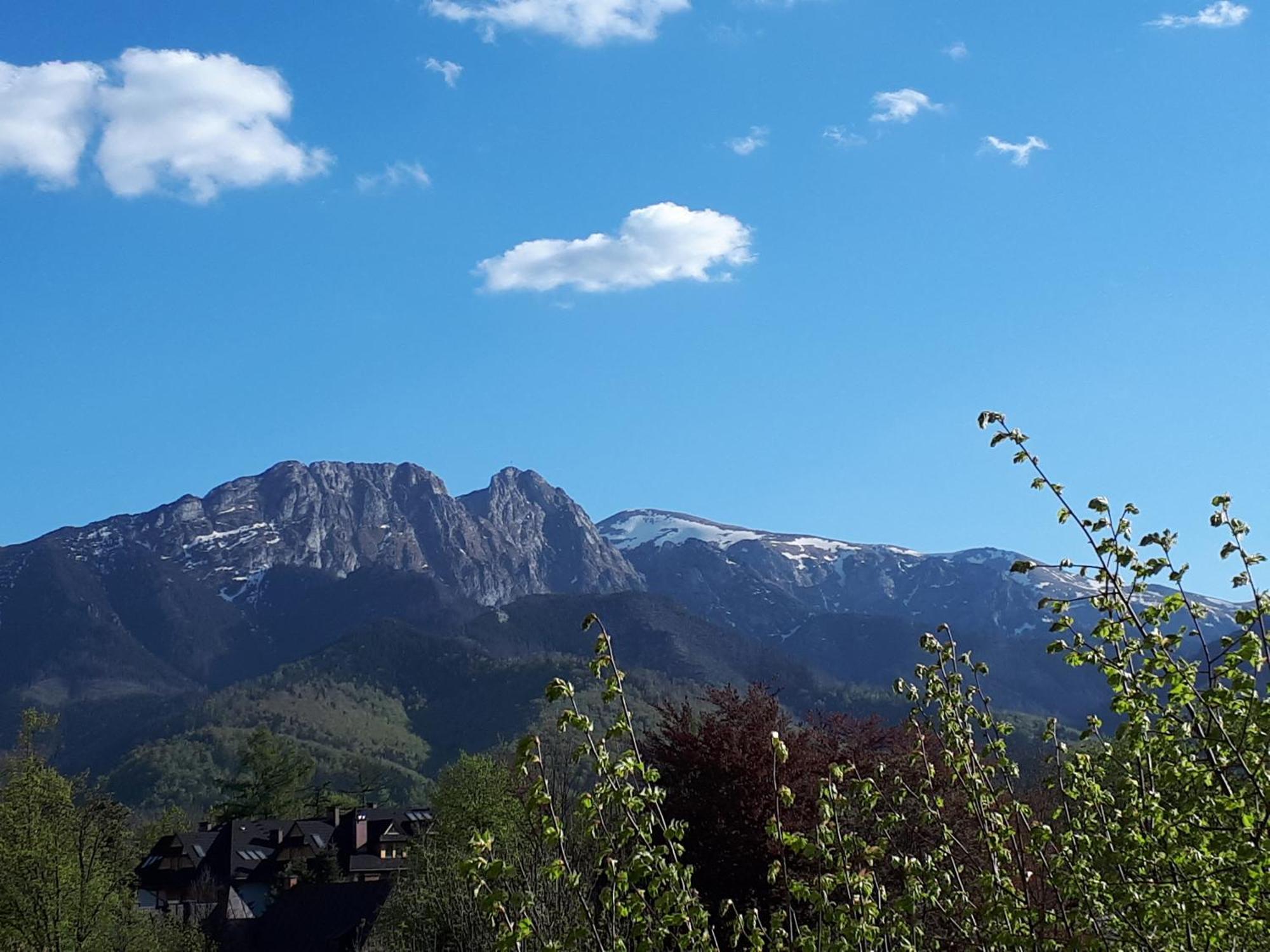 Geovita Zakopane Dış mekan fotoğraf
